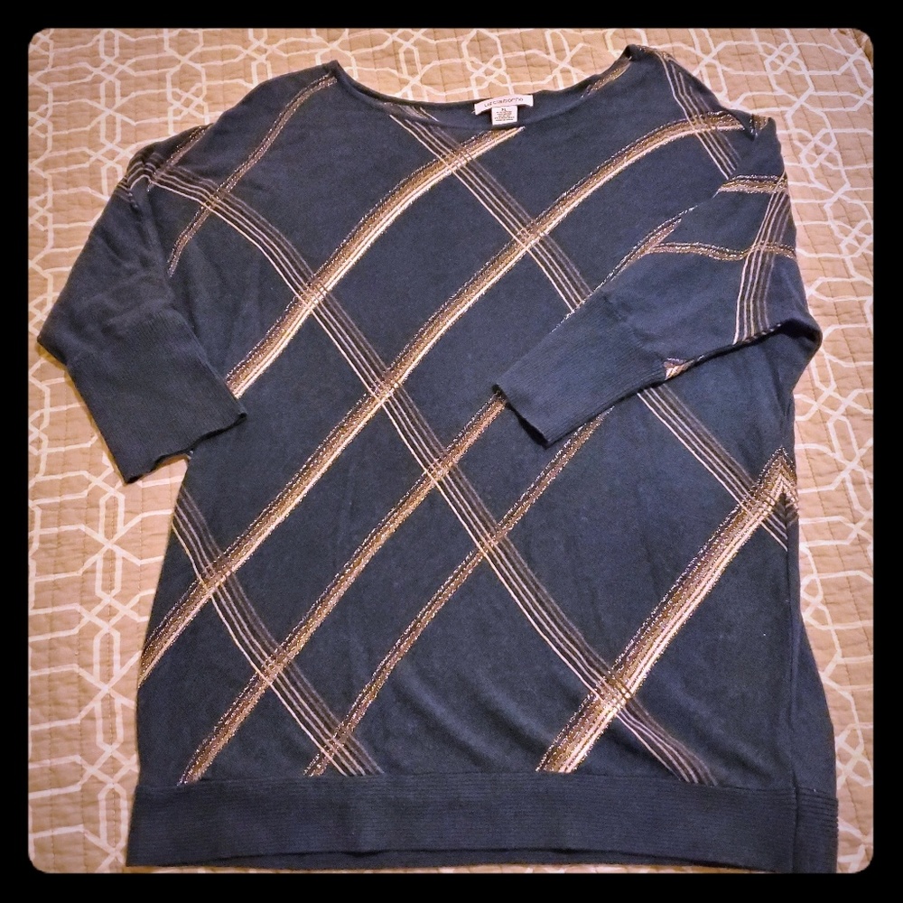 Teal w/silver stripes Tunic sweater